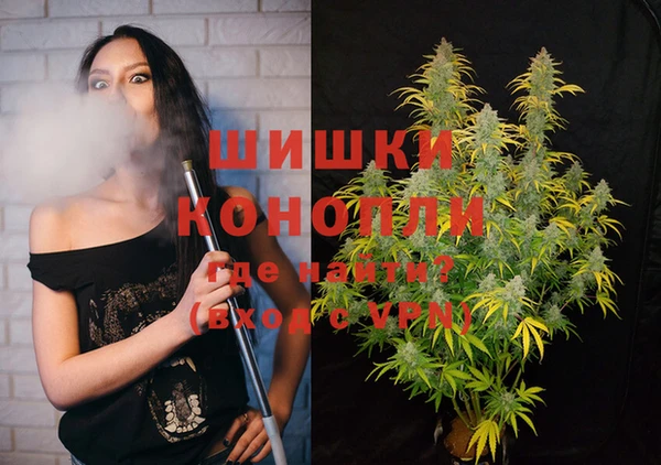 индика Алзамай