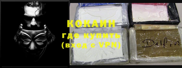 индика Алзамай