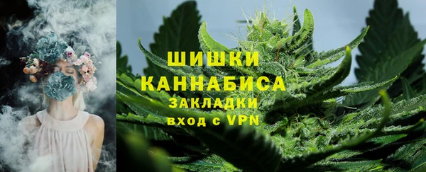 индика Алзамай